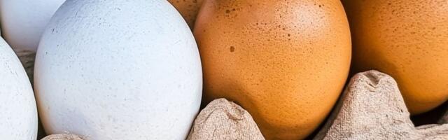 Koja je razlika između smeđih i belih jaja? Ovo je prava istina - evo koja su zdravija