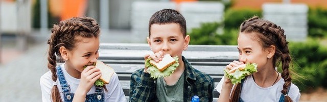 Zaštitite decu od režimskih kriminalaca u socijalnim službama