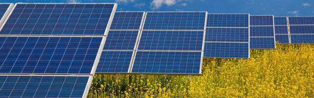 Subotica odvojila 80 hektra zemljišta za solarne elektrane