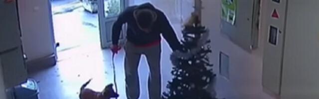 DNO Ušao u zgradu i ukrao JELKU (VIDEO)