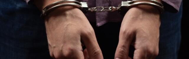 Predao se vozač koji je ubio policajku: Krio se danima