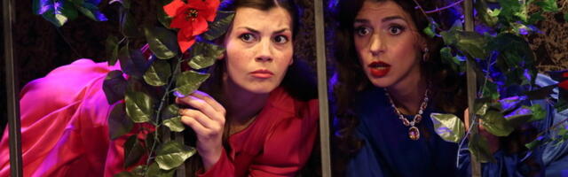 „NASLEDNICE U POZORIŠTU