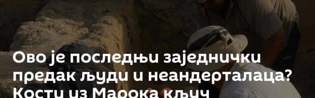 Ово је последњи заједнички предак људи и неандерталаца? Кости из Марока кључ разумевања наше лозе