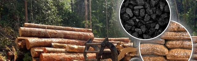 Uzeo avans za pelet, pa zapalio: Uhapšen prevarant u Nišu