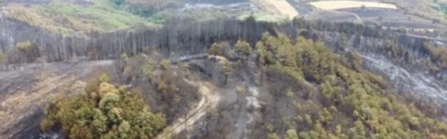ČEMER I JAD Snimak nad šumom u Srbiji pokazuje šta je od nje ostalo (VIDEO)