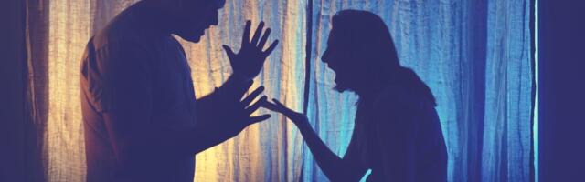 NOKAUTIRALA DEČKA JER NIJE HTEO TROJKU Žena uhapšena usred noći, izazvala šok i nevericu