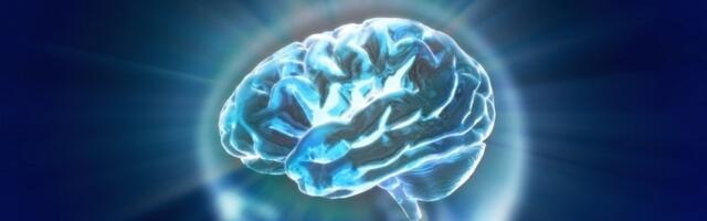 "IQ mapa" Evrope: Evo ko ima najviši i gde je Srbija (FOTO)