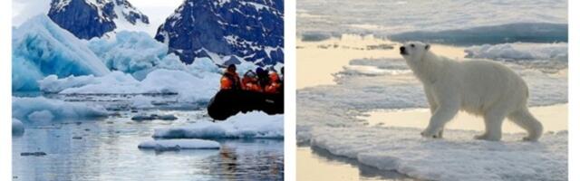 10 godina živim u najsevernijem gradu na svetu - u kojem je ZABRANJENO UMRETI: Zbog polarnih medveda uvek nosimo pušku (VIDEO)