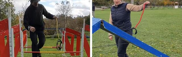 Da li biste šetali nevidljivog psa? HOBI DOGING zaludeo Nemce, pljušte kritike, podsmeh, ali i odobravanje