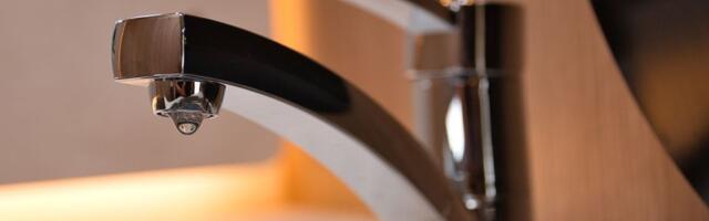 Pojedine ulice u Novom Sadu i Sremskoj Kamenici bez vode