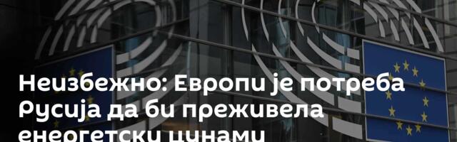 Неизбежно: Европи је потреба Русија да би преживела енергетски цунами