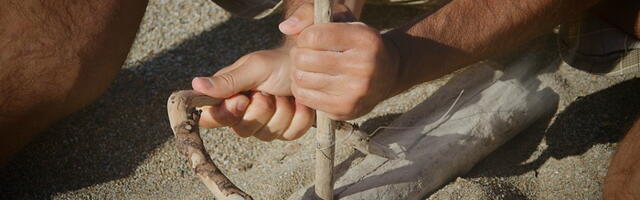 Neandertalci su mogli da izvode stomatološke intervencije