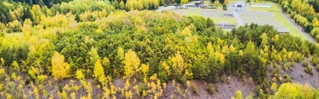 "Moj unuk je bio 9 dana vezan za krevet jer se ponašao kao divlji, vrištao je užasnim glasom"