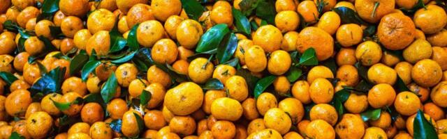 Mandarine iz Hrvatske uništene na srpskoj granici