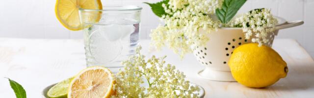 Napravite domaći sok od zove i koprive