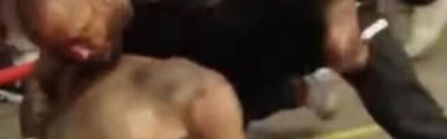 Pobedio Marka Bojkovića, a sad se tukao u brutalnoj uličnoj borbi bez pravila i trijumfovao