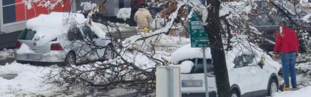 Palo drvo i u Bloku 30! Ljudi testerama sami sklonili sa prometne raskrsnice