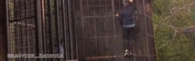 Bebica POBEGAO iz Zadruge?! Nenad Macanović PRESKOČIO ogradu, isplivao NEVEROVATAN SNIMAK BEGA! (VIDEO)