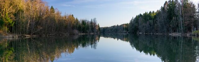 Tužilaštvo u Pančevu: 82.000 litara nafte sa barže se izlilo u reku