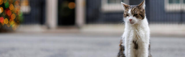 Мачак Лари слави 15 година власти – испратио пет, дочекао шестог премијера