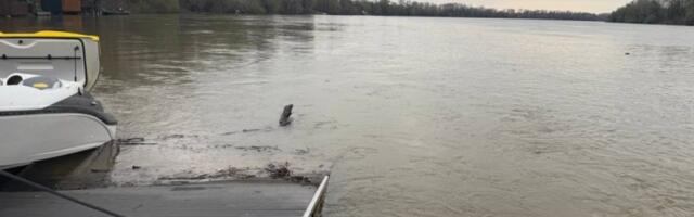 DRAMA U OVIM DELOVIMA SRBIJE! IZLILE SE DVE REKE, VODOSTAJ RASTE IZ SATA U SAT! Potopljeni putevi i mostovi, domaćinstva odsečena! IZDAT HITAN APEL GRAĐANIMA!