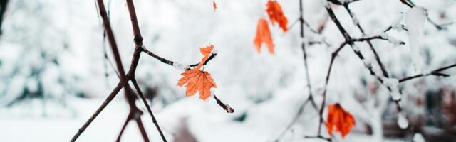 Kakvo nas vreme danas očekuje?