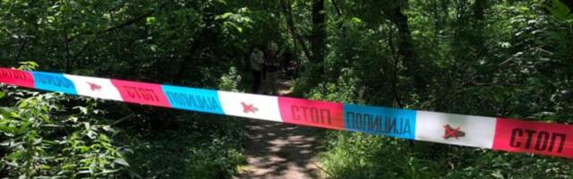 Ljudi češljaju šumu u potrazi za Ljubicom: Ovo je njen razgovor pred nestanak