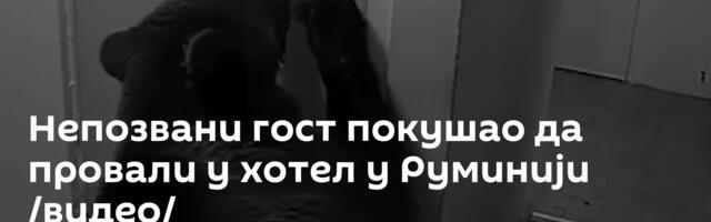 Непозвани гост покушао да провали у хотел у Руминији /видео/