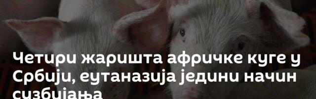 Четири жаришта афричке куге у Србији, еутаназија једини начин сузбијања
