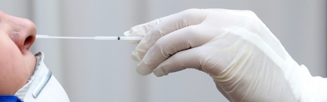 "U Batajnicu za vikend primljeno više od 300 pacijenata"