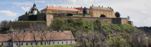 Novo žarište u Petrovaradinu: Zaražena 22 korisnika Doma za stare