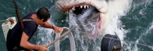 Svi napadi ajkula koji su zabeleženi kamerom ove godine