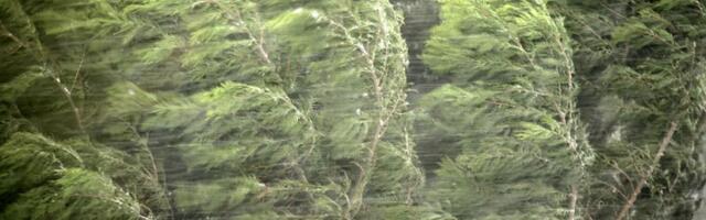 Vetar odneo pola krova na zgradi MUP-a (FOTO)