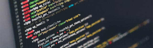 Savet NAUČI DA PROGRAMIRAŠ je gori od TETOVIRANJA LICA