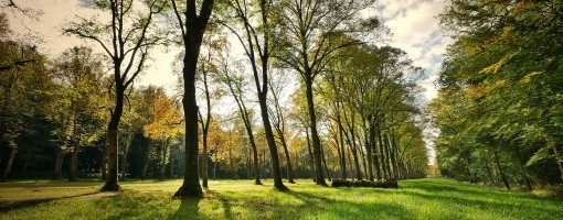 Inicijativa Odbranimo Košutnjak: Policija nam zabranila okupljanje