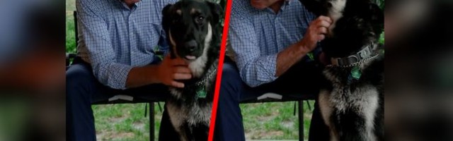 Bajdenov pas drugi put ujeo čoveka u Beloj kući