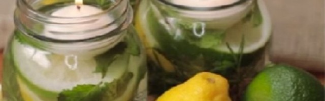 NAPRAVITE SVEĆU PROTIV KOMARACA! Otarasite se štetočina očas posla! /VIDEO/