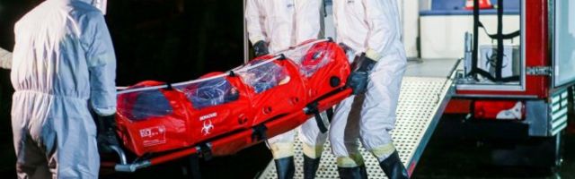 NOVA POŠAST HARA RUMUNIJOM! Raste broj žarišta AFRIČKE SVINJSKE GROZNICE! (VIDEO)