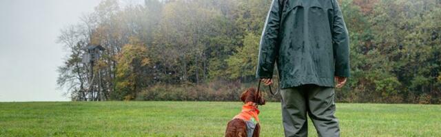 Jedna ljudska 7 psećih godina: Koliko je star vaš pas?