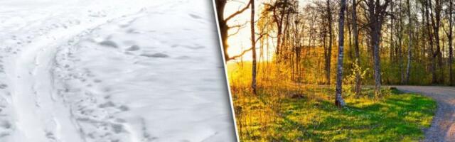 Vremenski rolerkoster u Srbiji! Ujutru da se "smrzneš", tokom dana proleće - Evo kad se očekuje natprosečno toplo vreme