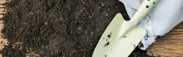 „Čarobni“ mikrobi spas za useve koje ugrožava rast mora