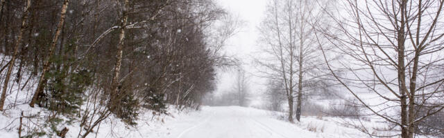 RTS: Loznica sedmi dan bez struje, u Majdanpeku počelo snabdevanje