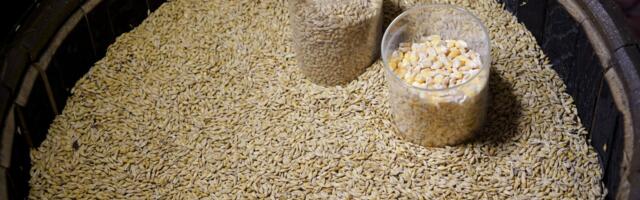 Srpski gigant nekad proizvodio i viski: Na pakovanju stajao više nego ZANIMLJIV opis pića