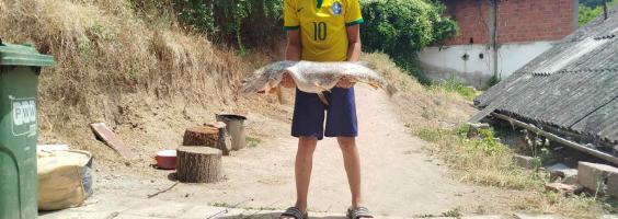 BRAVO, MAJSTORE! DEČAK (13) UPECAO ŠTUKU OD 10 KG! Rekordan ulov na reci Toplici, Andrej ponosan: Bila je ogromna - nikada toliku nisam video! (FOTO)