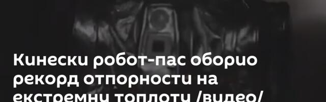 Кинески робот-пас оборио рекорд отпорности на екстремну топлоту /видео/