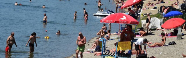 Rešena misterija velike ribe na Adi Ciganliji - otkriveno šta bi ono što je uplašilo Beograđane moglo da bude
