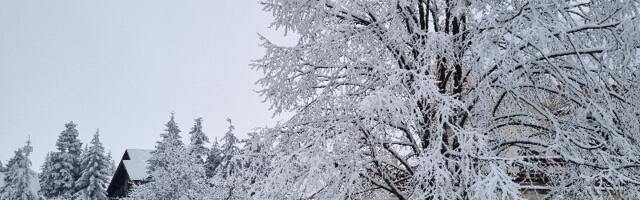 Todorović : Početkom decembra nagli porast temperature, a potom veliki pad