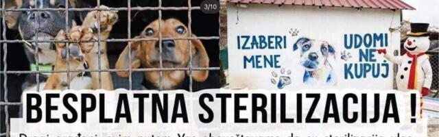 Besplatne sterilizacije i kastracije za ulične i za vlasničke pse u Nišu