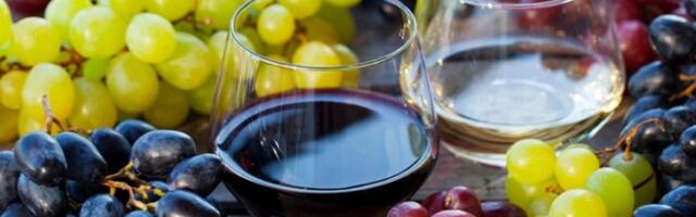 Crveno ili belo vino? Šta vaš izbor govori o vašoj ličnosti