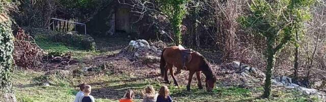Meštani Svrčuge krenuli renoom za Pariz po ovu stvar! O ovom selu bruji Balkan, nemaju uličnu rasvetu, ali zato..